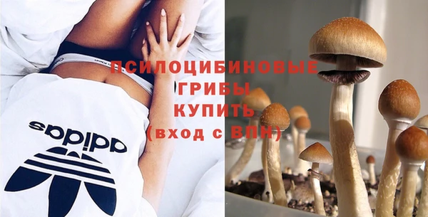 бошки Армянск