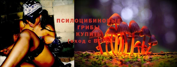 бошки Армянск